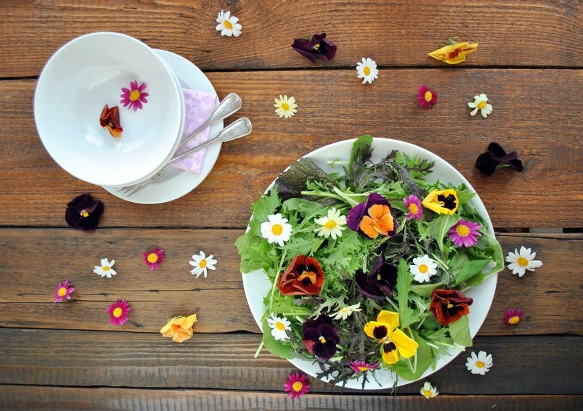 10 Macam Edible Flower yang Cantik & Aman Dikonsumsi