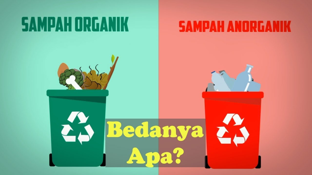 5 Perbedaan Sampah Organik dan Anorganik