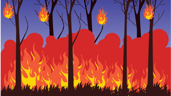 Mengapa Akhir-Akhir Ini Sering Terjadi Kebakaran Hutan?