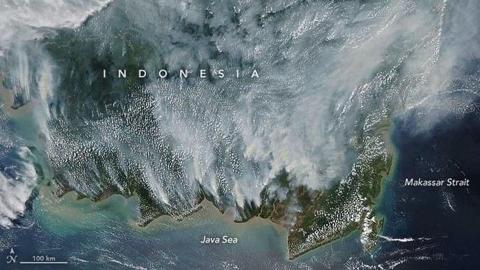 Kebakaran Hutan Kalimantan Dipotret Satelit NASA, Miris Banget!