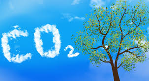 Mengapa Karbon Dioksida (CO2) Bukan Senyawa Organik