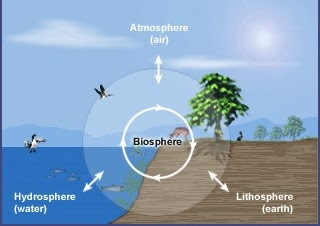 Perbedaan antara biosfer dan litosfer