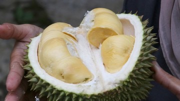Menu Durian Musang King Berlapis Emas 24 Karat Di Singapura