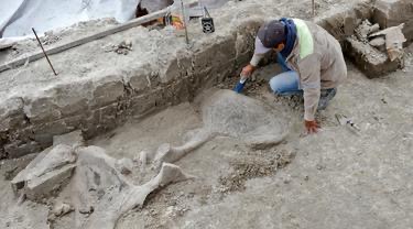 Arkeolog Temukan Fosil Mamut Berusia 15.000 Tahun di Meksiko
