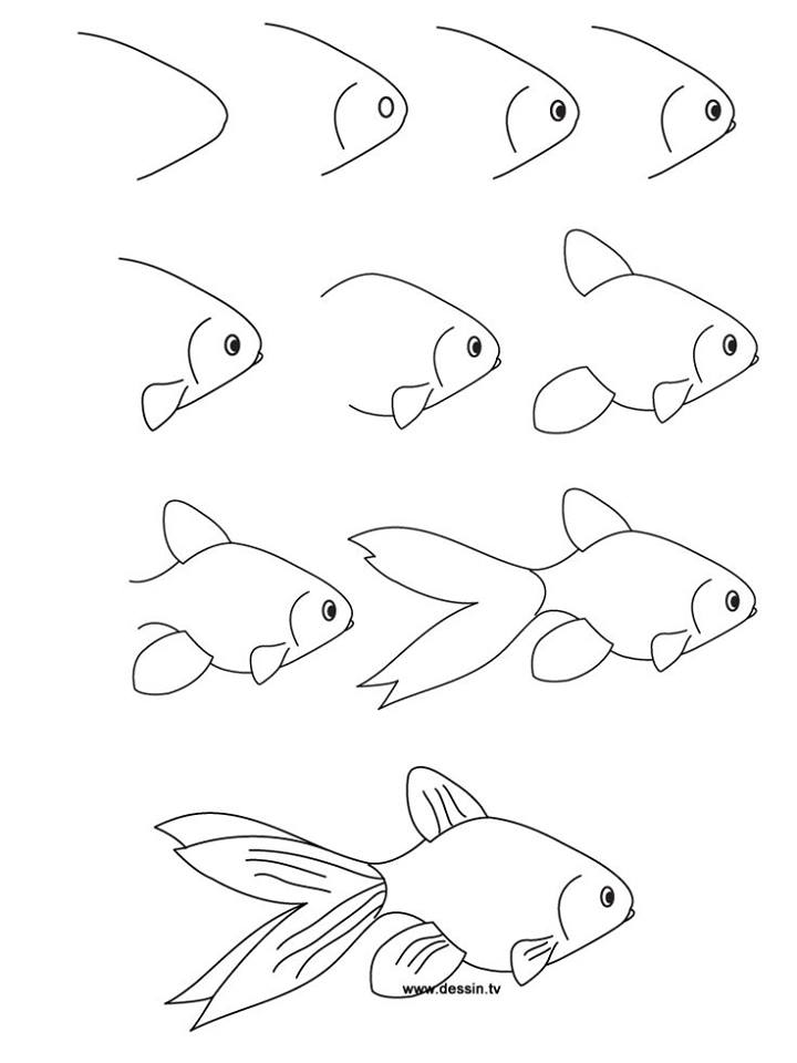 Cara Menggambar Ikan Mudah dan Cepat