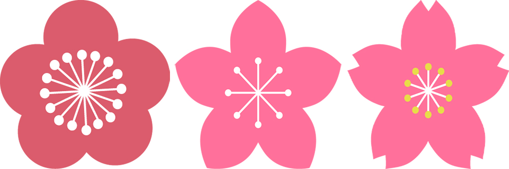 Perbedaan Bunga Sakura, Bunga Plum, dan Bunga Persik