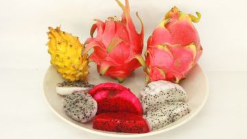 Fakta Tentang Buah Naga Merah, Putih, dan Kuning yang Jarang Orang Tahu. Bedanya Apa sih?