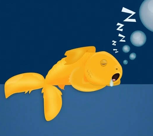 Cara Ikan Tidur di dalam Air