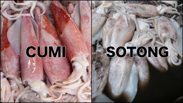 Hampir Mirip Saat Dimasak, ini 4 Perbedaan Cumi dan Sotong. Keduanya Sama-sama Enak dan Sehat!