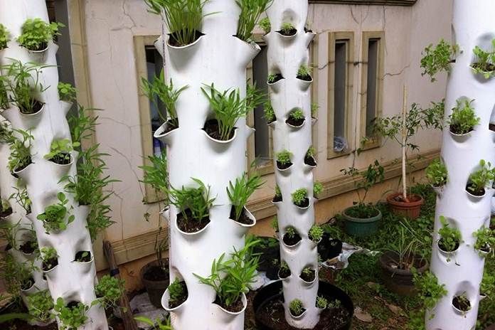 Membangun Kebun Sayuran Mini di Teras Rumah Menggunakan Vertikultur