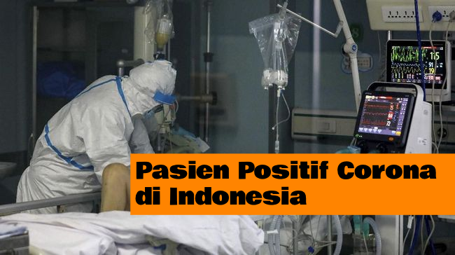 [BREAKING NEWS] 2 Orang di Indonesia Positif Virus Corona. Sudah Dikonfirmasi Sendiri oleh Presiden