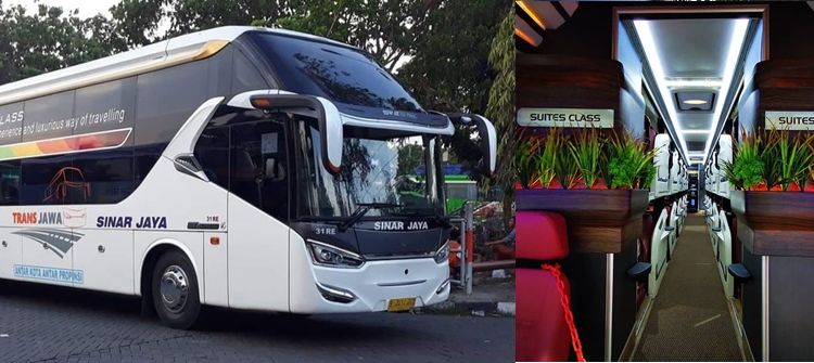 Mengintip Sleeper Bus Mewah yang Punya Desain Physical Distancing untuk Menyambut New Normal