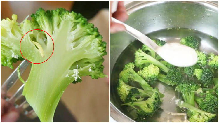 5 Cara Membersihkan Sayuran dari Ulat yang Seringnya Nggak Kelihatan. Brokoli Paling Rentan!