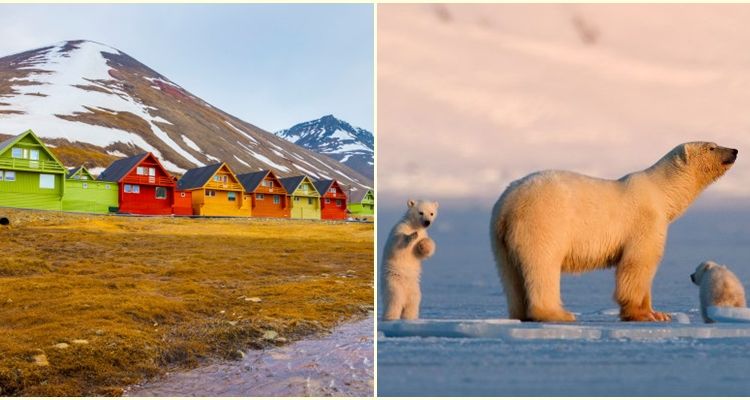 Mengintip Kota Arktik Longyearbyen di Norwegia yang Melarang Warganya Meninggal. Apa Alasannya?