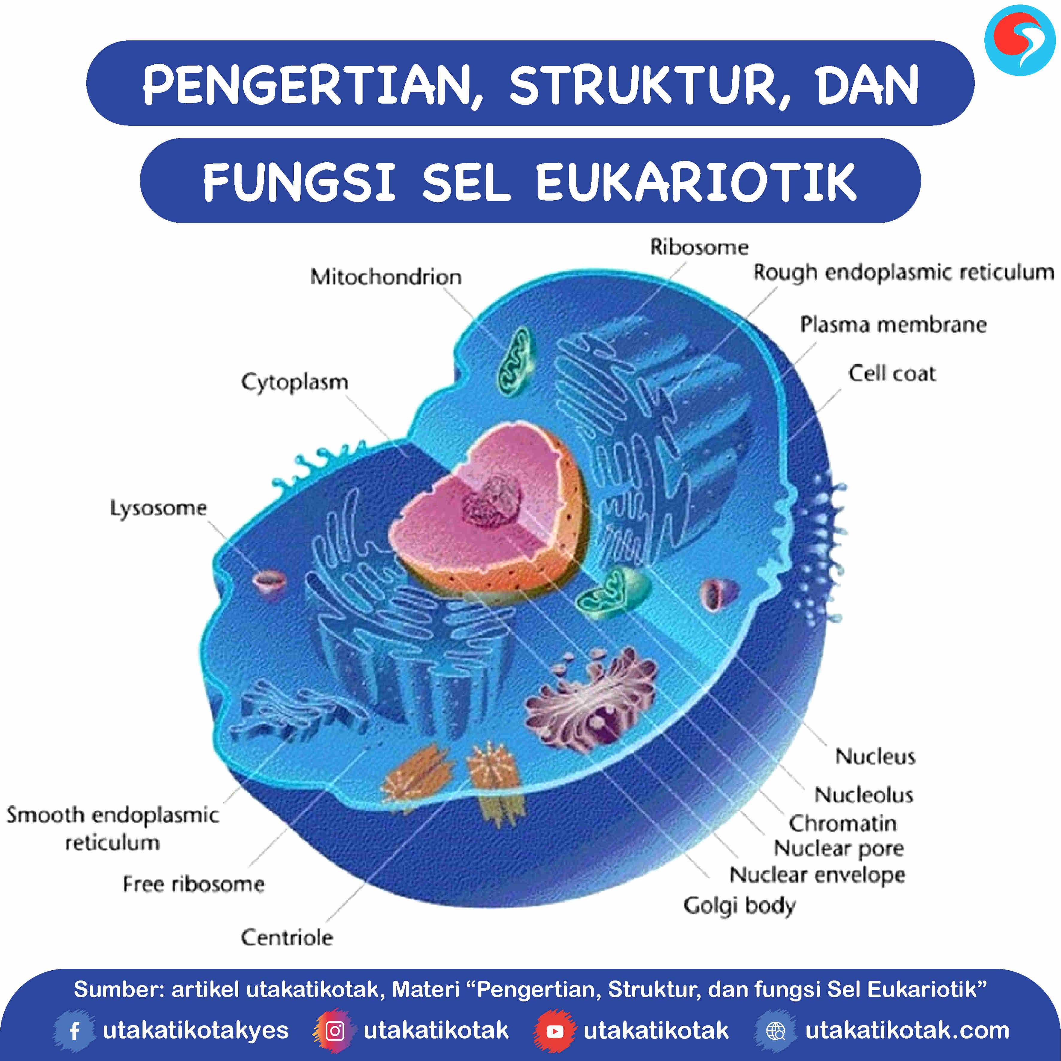 Pengertian, Struktur, dan Fungsi Sel Eukariotik