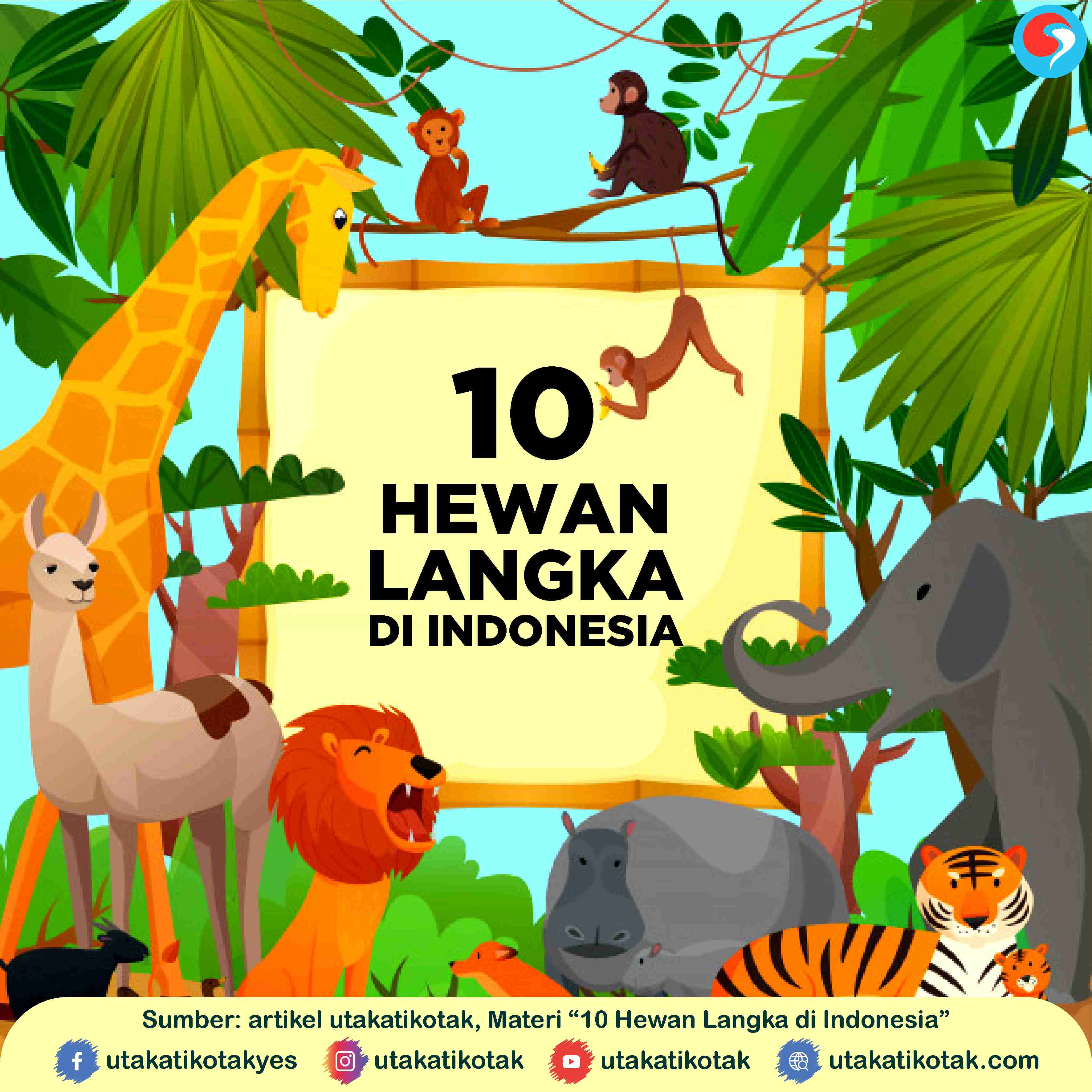 10 Hewan Langka di Indonesia dan Gambar