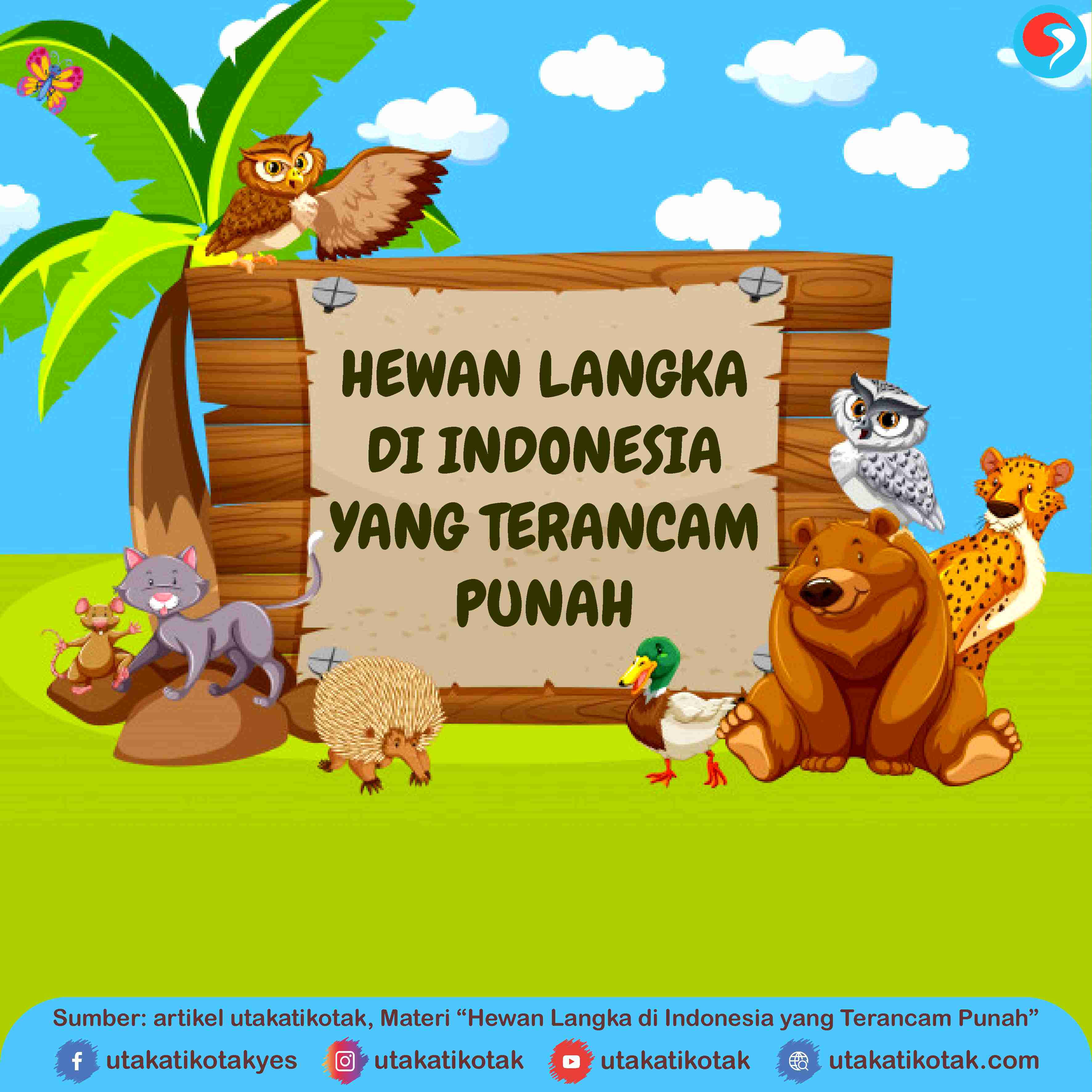  Hewan  Langka di Indonesia yang Terancam Punah