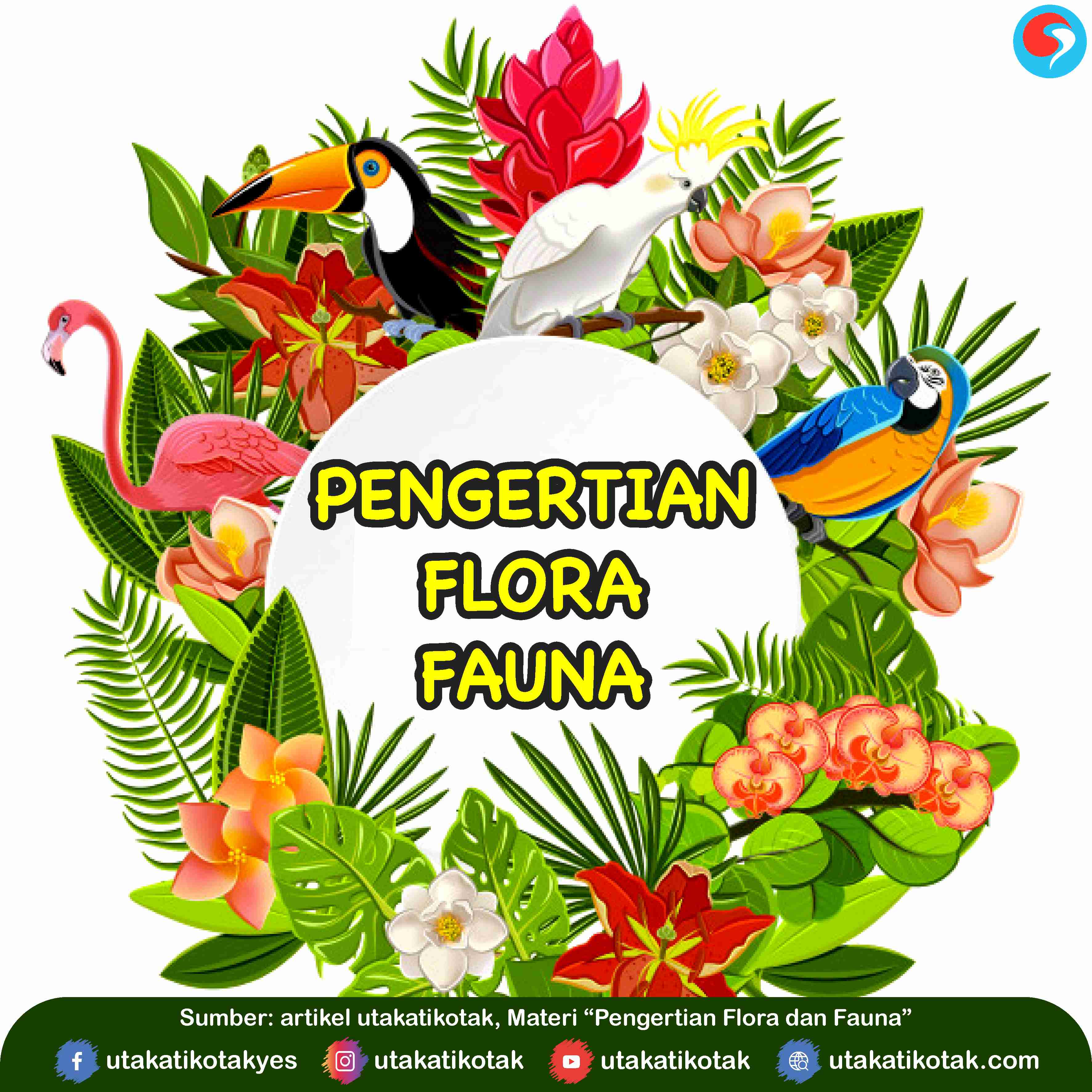 Perlindungan Flora Dan Fauna - 8 Tempat Di Indonesia Yang Penting Untuk Perlindungan Spesies ...