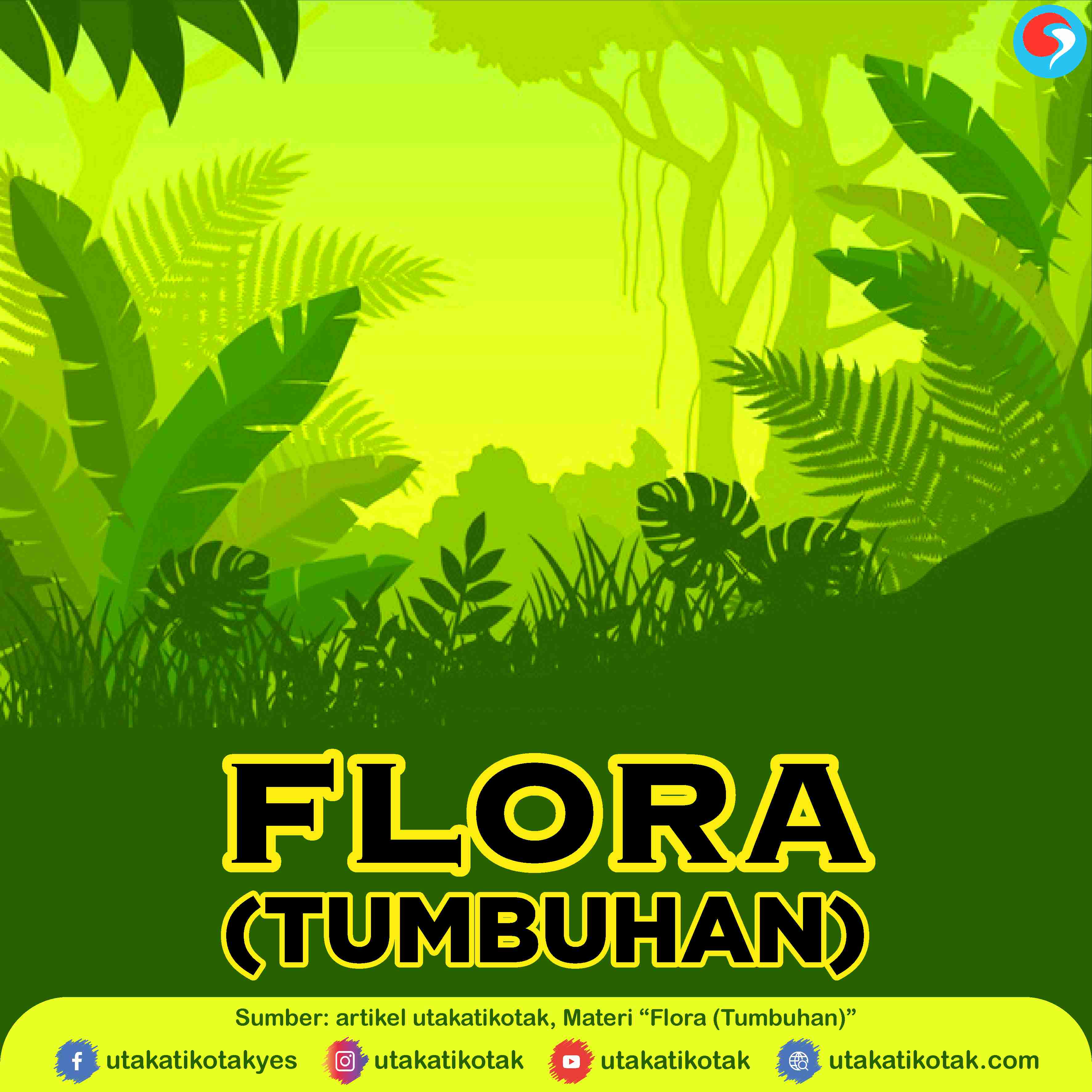 Flora (Alam Tumbuhan)