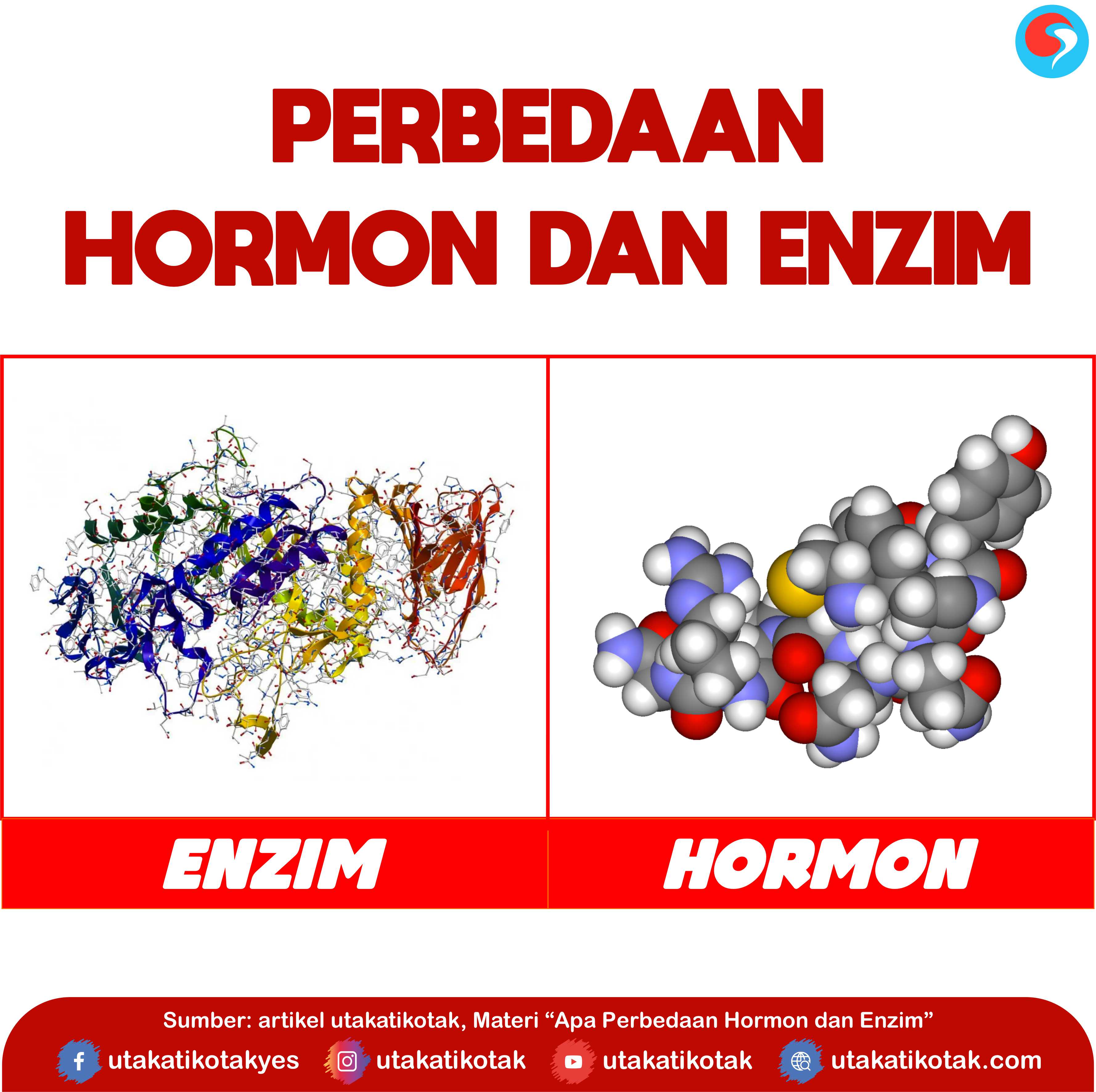 Apa perbedaan Hormon dan Enzim