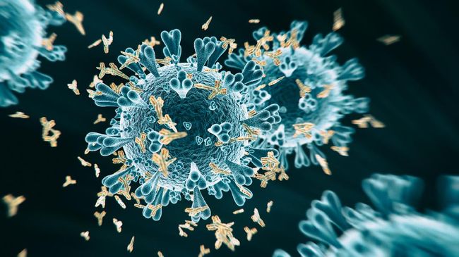 Temuan Baru Mutasi Virus Corona, Peneliti Unair: Selain D614G Kini Ada Q677H