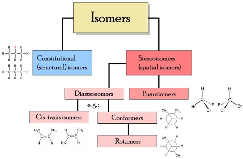 Pengertian Isomer Jenis Contoh Pentingnya Kimia Usaha - vrogue.co