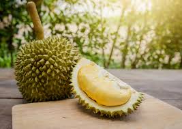 Durian Favorit di Asia Tenggara