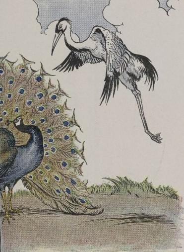 Bedtime Short Story : The Peacock and The Crane