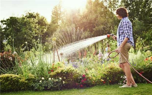 13 Manfaat Tumbuhan Bagi Lingkungan Rumah. Sehatkan Hunianmu!