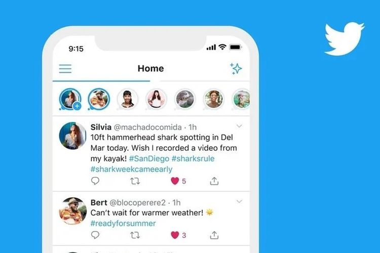 Twitter Luncurkan Fleets, Fitur Mirip IG Stories