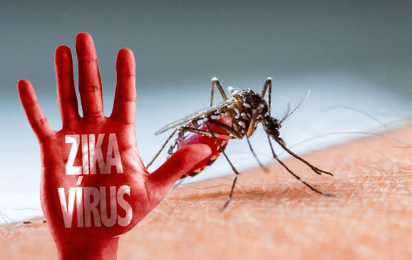 Apa Yang Dimaksud Dengan Virus Zika? 