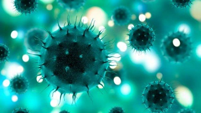 Selain Virus Nipah, Berikut ini Penyakit yang Dikhawatirkan Jadi Pandemi Baru