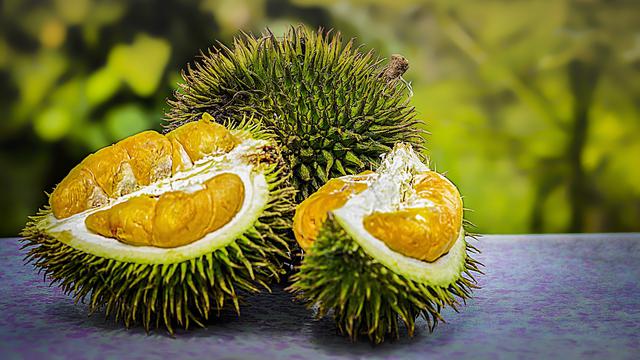 Pencinta Durian Wajib Tahu 5 Fakta Unik Buah Durian