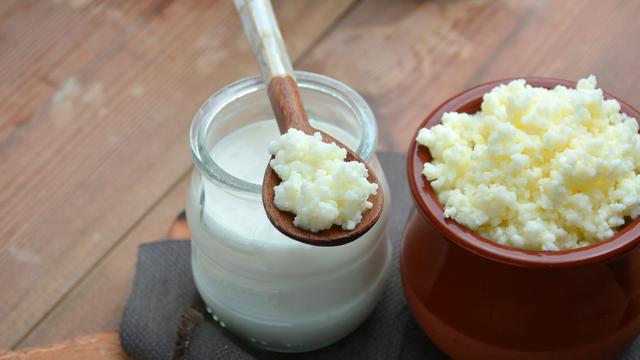 Perbedaan Kefir Dan Yoghurt