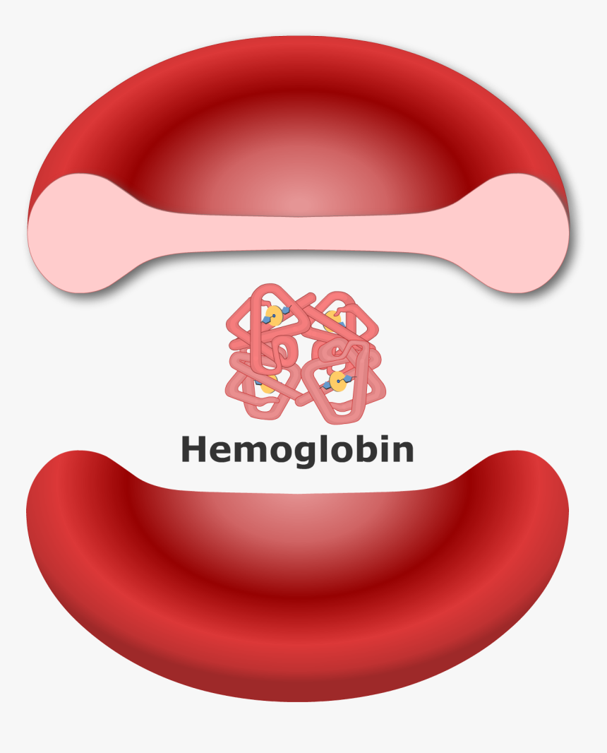 Hemoglobin dan Metode Ideal untuk Menghitungnya