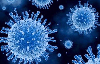 Klasifikasi Virus dan Penyakit yang Ditimbulkan