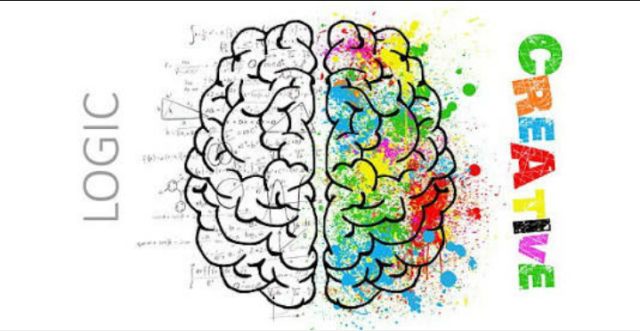 Perbedaan Otak Kanan dan Otak Kiri Manusia