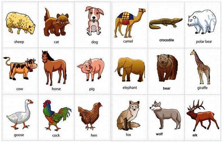 160 Nama Hewan Dalam Bahasa Inggris Dari A Z 160 Nama Hewan Dalam Bahasa Inggris Dari A Z
