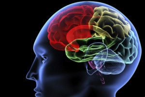 Tips Jaga Fungsi Kerja Otak Selama Berpuasa