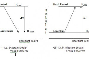 Reaksi Eksoterm dan Endoterm