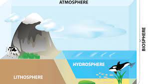 Apa Perbedaan Biosfer dan Litosfer?