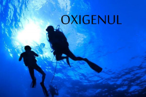 Ketika Oksigen di Bumi Berlebih, Apa yang Akan Terjadi?