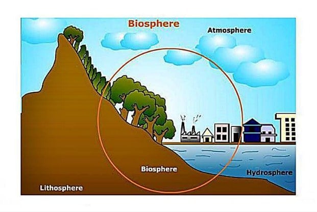 Perbedaan antara Biosfer dan Litosfer