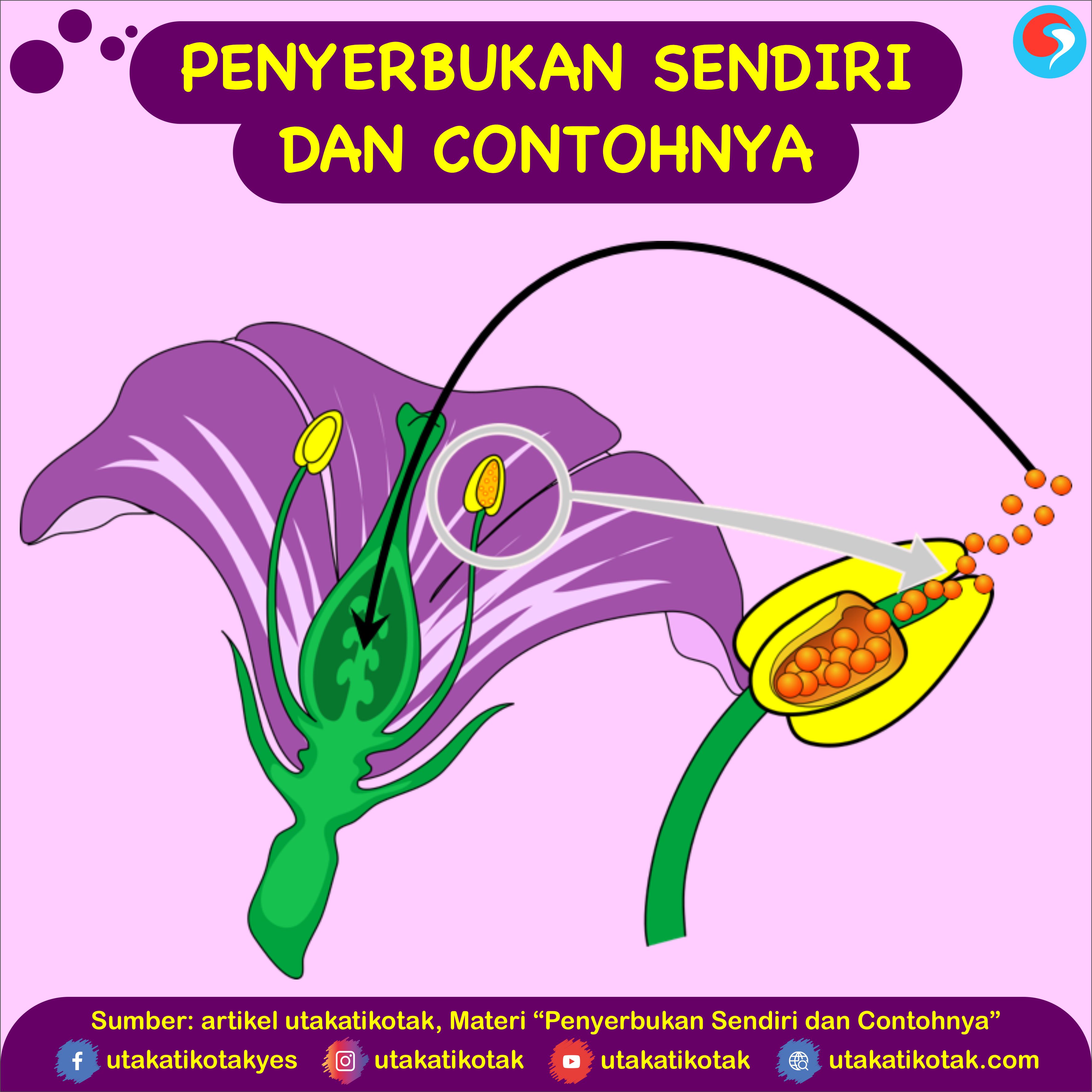 Ciri-ciri Penyerbukan Sendiri