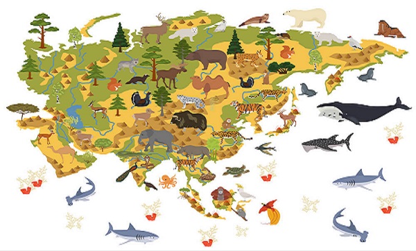 Persebaran Flora Dan Fauna Di Indonesia Lengkap Peta Sexiz Pix
