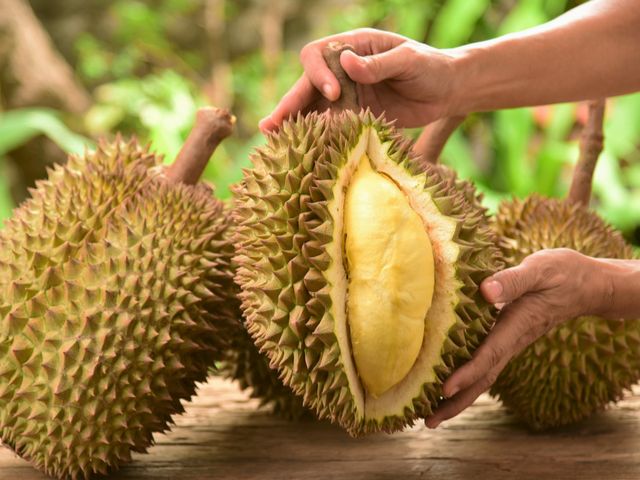 Manfaat Buah Durian dan Efek Sampingnya Bagi Tubuh