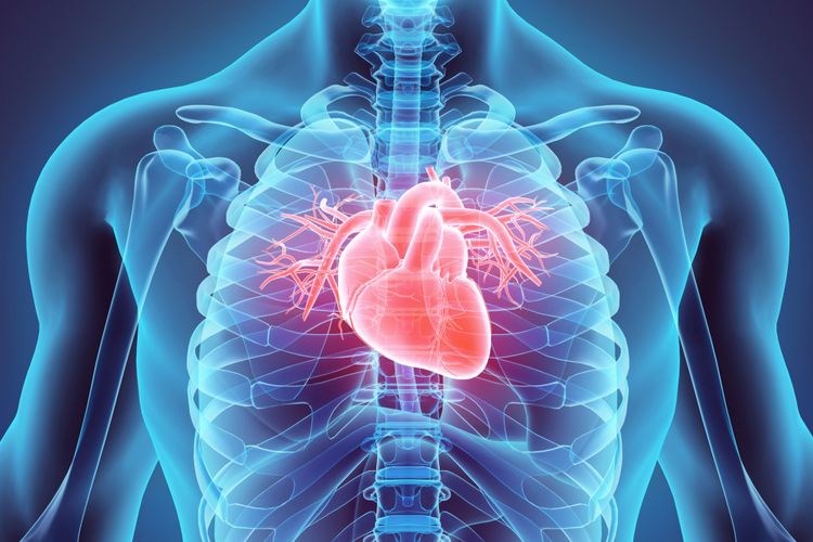 Perbedaan Henti Jantung dan Serangan Jantung