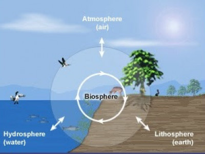 Persamaan dan Perbedaan Biosfer dengan Litosfer