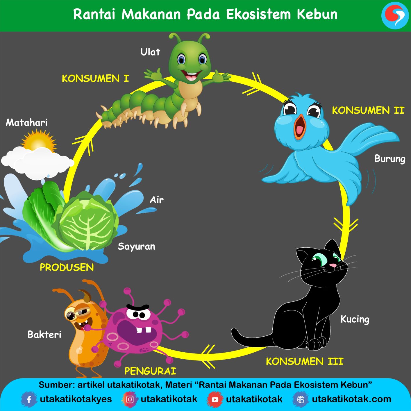 Rantai Makanan Pada Ekosistem Kebun Utakatikotak Com