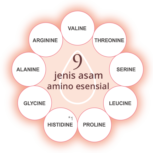 Satu jenis asam amino essensial dibangun oleh